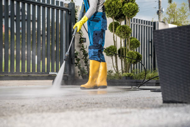 Best Roof Power Washing Services  in Minonk, IL