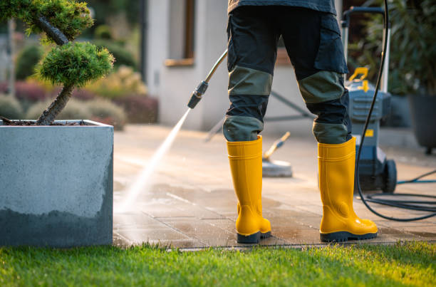 Best Exterior Home Cleaning  in Minonk, IL